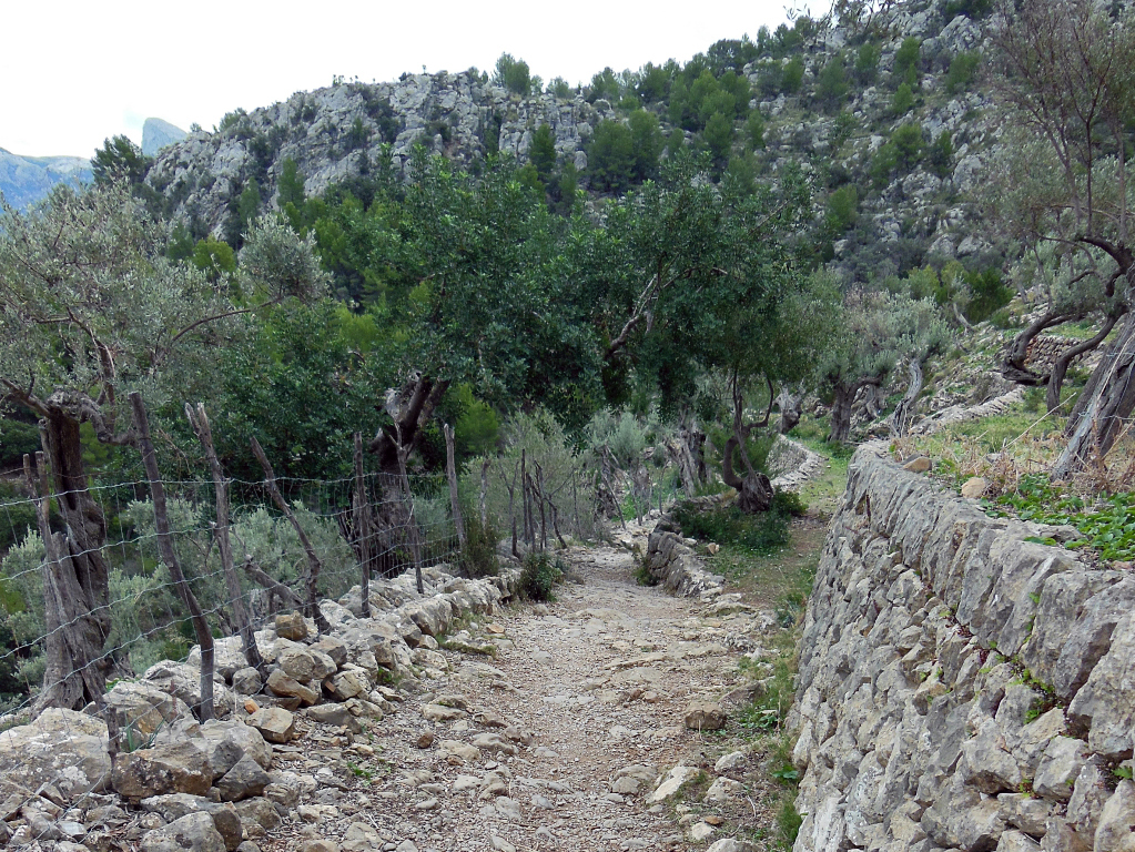 Hiking in Mallorca, Spain.