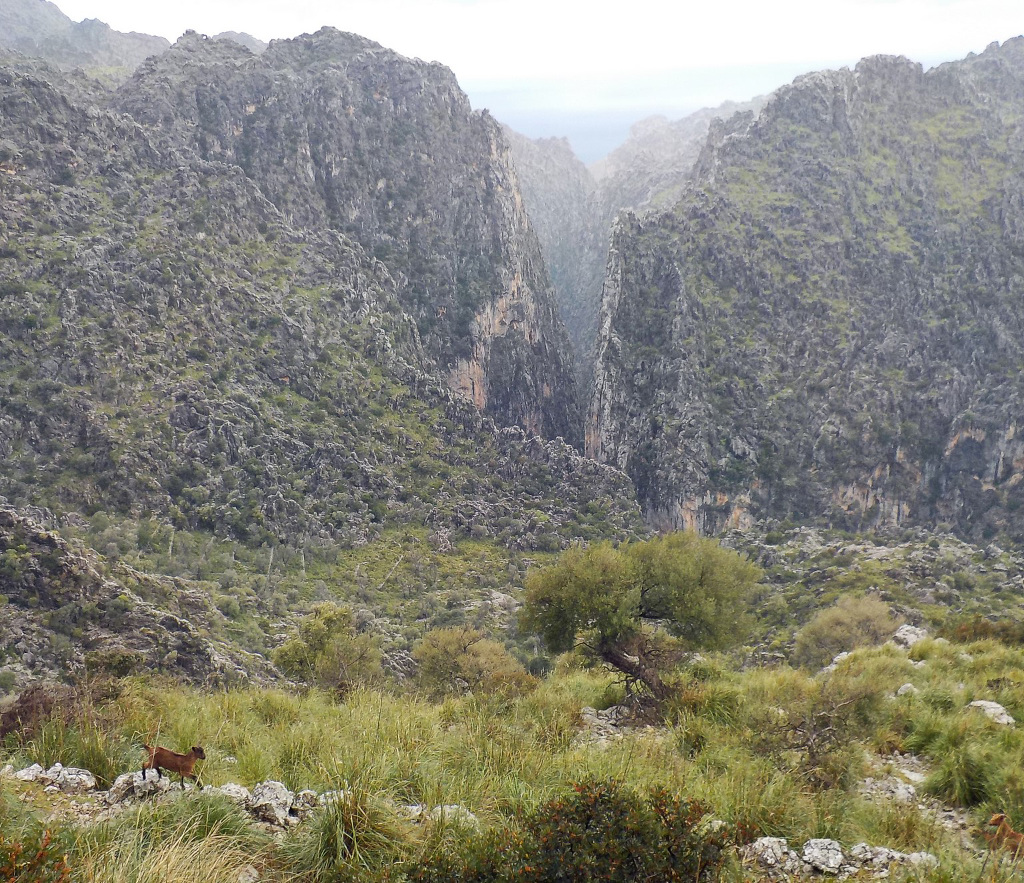 Hiking in Mallorca, Spain.