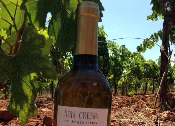 Food and wine pairing in Mallorca, Spain